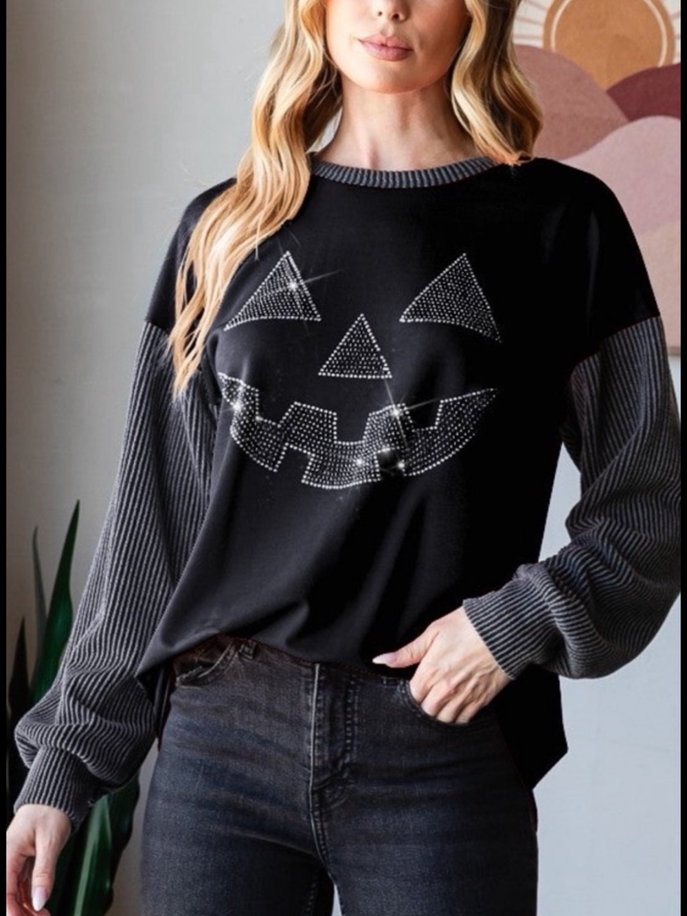 Heimish Halloween Black Sweatshirt w/Gray Ribbed Crewneck Long Sleeve SZ S NWOT